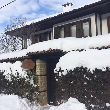 Pensiune Ralevi House